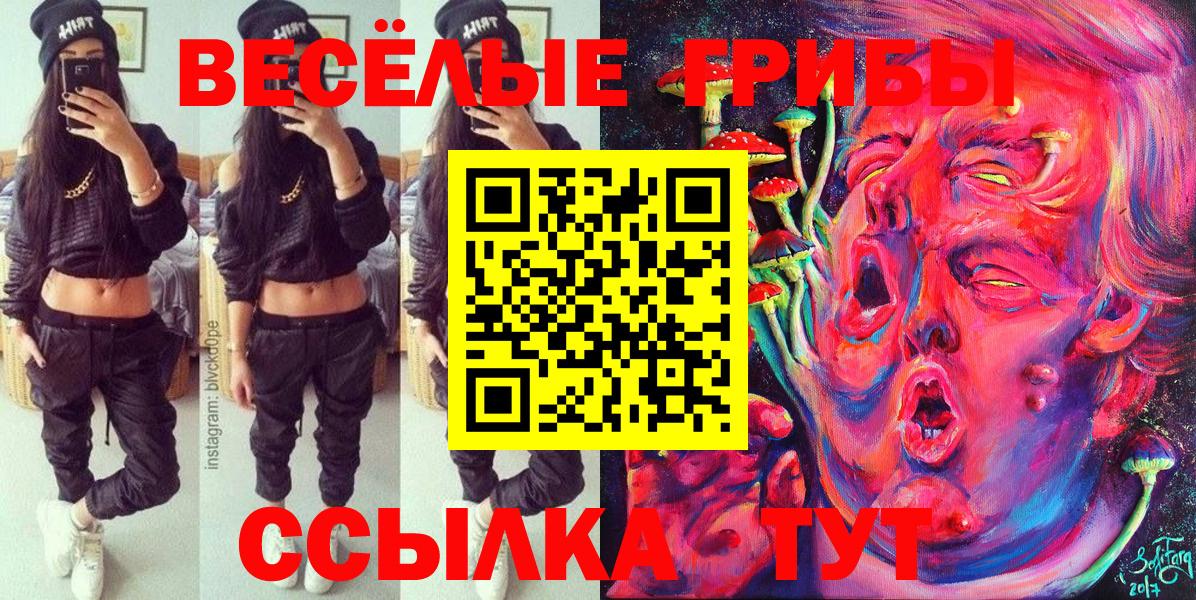 Псилоцибиновые грибы Psilocybe  Вход с VPN  Елец 